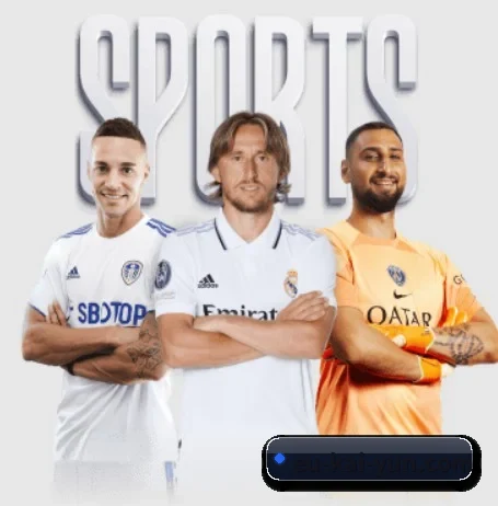 开云 APP（kaiyun sports）